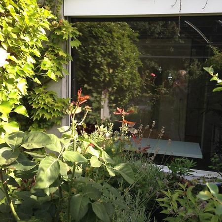 Gastezimmer Fischergarten Solothurn Exteriér fotografie