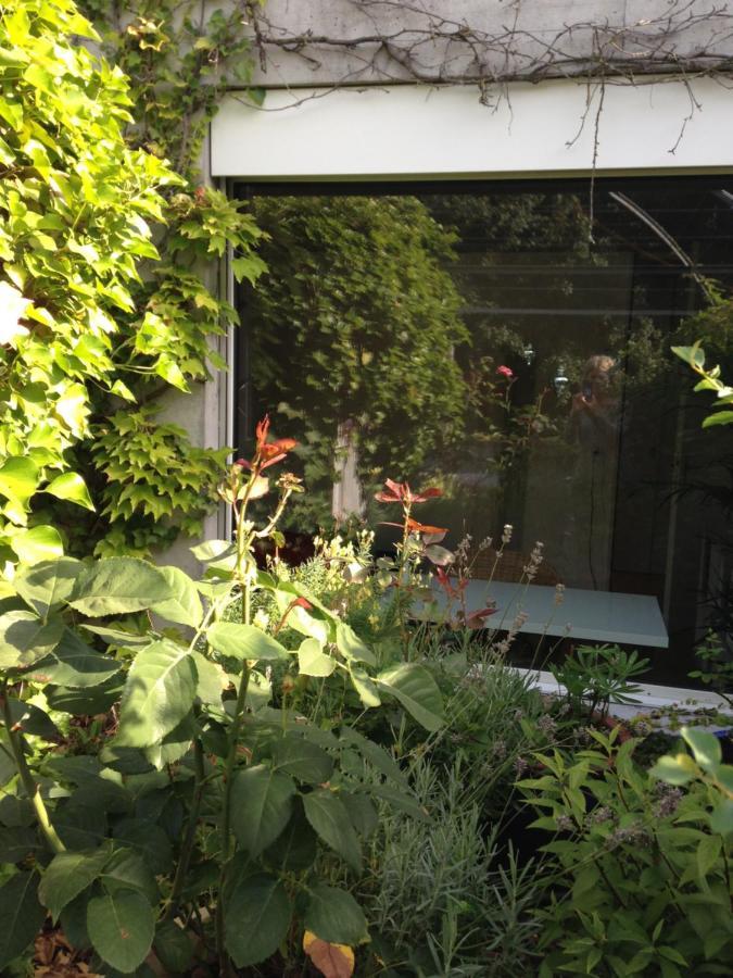 Gastezimmer Fischergarten Solothurn Exteriér fotografie