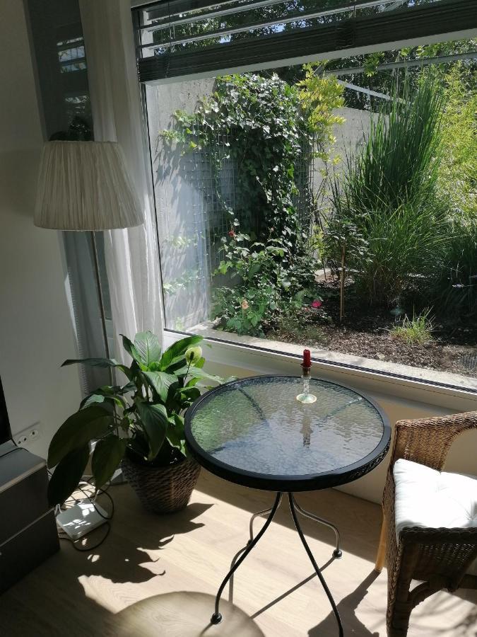 Gastezimmer Fischergarten Solothurn Exteriér fotografie