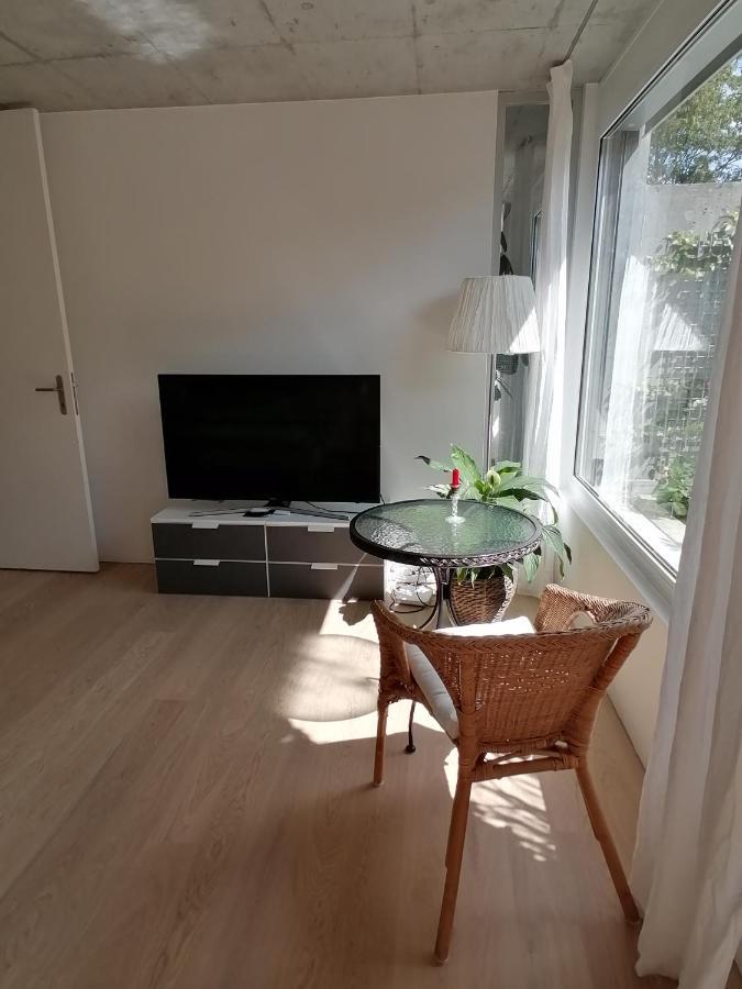 Gastezimmer Fischergarten Solothurn Exteriér fotografie