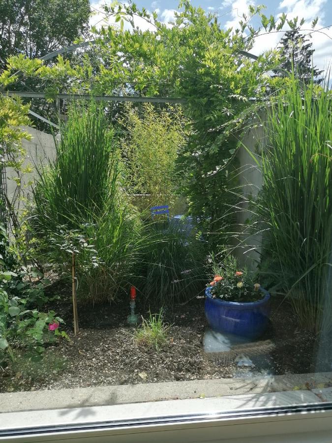 Gastezimmer Fischergarten Solothurn Exteriér fotografie